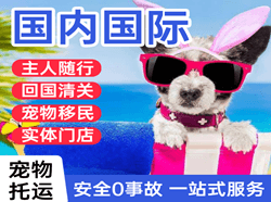 济南空运地址国际宠物托运 【国